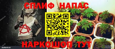 молекула духа Жуковский