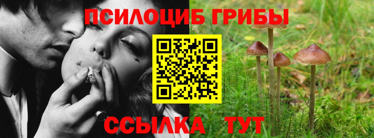 Галлюциногенные грибы MAGIC MUSHROOMS  Псилоцибиновые грибы MAGIC MUSHROOMS  Вход с VPN  Моздок 